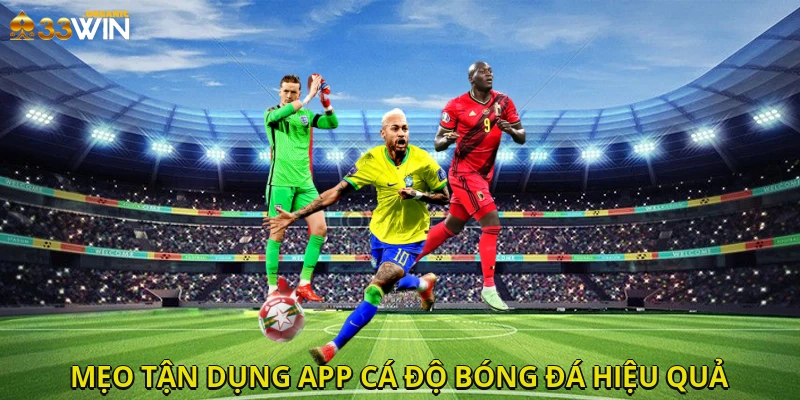 Mẹo tận dụng app cá độ bóng đá hiệu quả