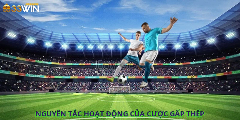 Nguyên tắc hoạt động của cược gấp thếp