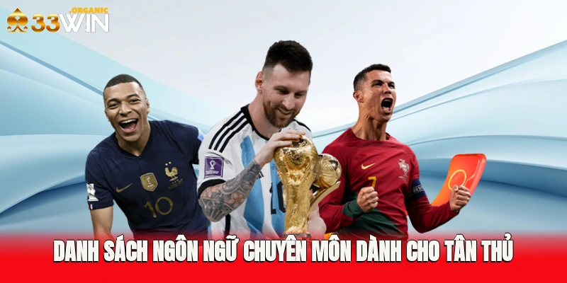 Danh sách ngôn ngữ chuyên môn dành cho tân thủ